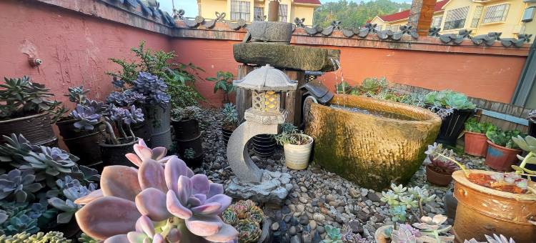 墨江秘境奇缘民族主题酒店图片