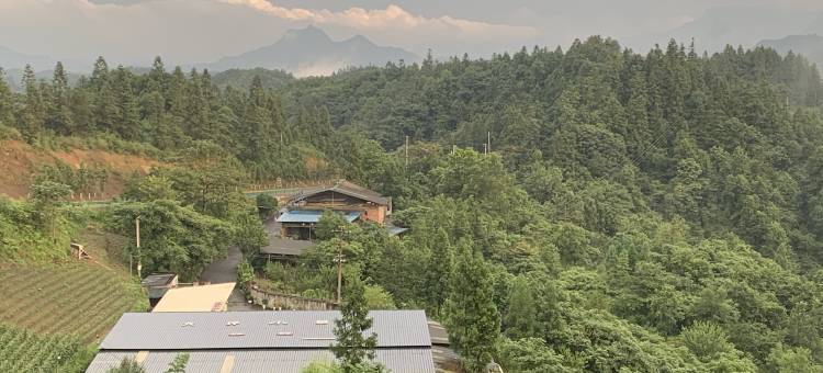 大坪小苑民宿(南川店)图片