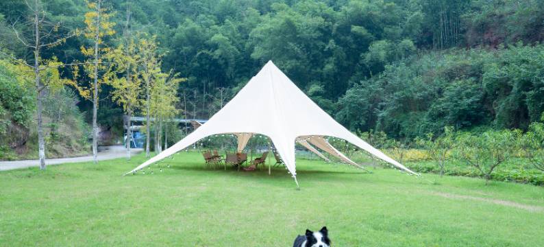 醉墨耕艺民宿(李庄古镇店)图片