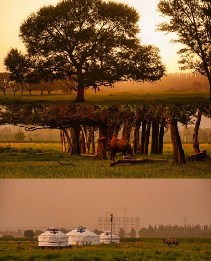 敕勒居酒店(赛罕塔拉城中草原店)图片