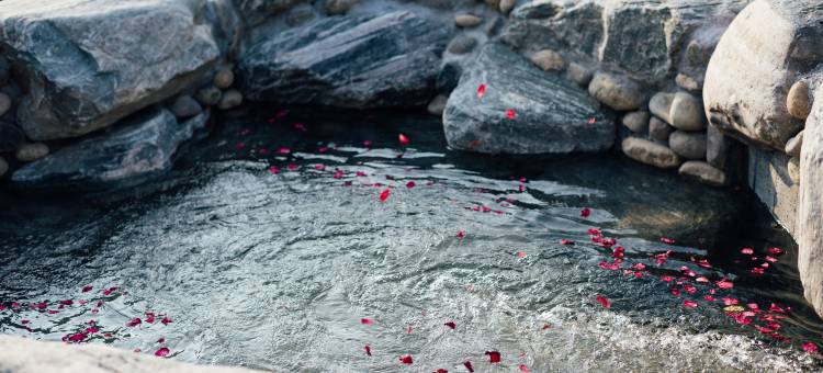 嘉兴开元森泊度假酒店图片