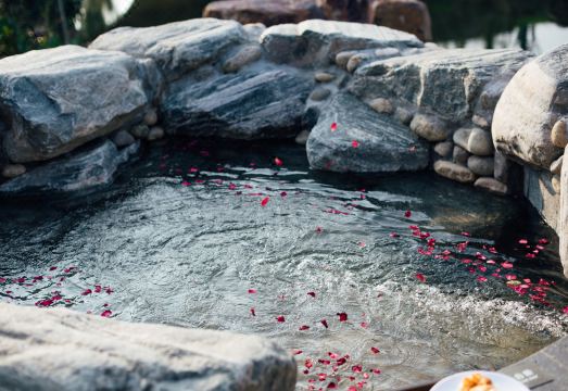 JIAXING SENBO NATURE PARK & RESORT Hotel Overview