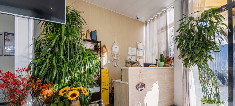 水上望月海景客栈(双廊洱海店)图片