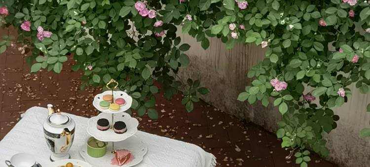 梵谷·莫干山法式庄园私汤民宿图片