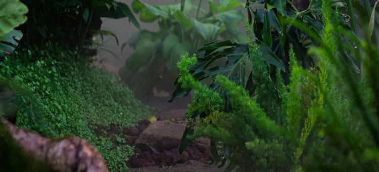 花语水岸·Alice in Wonderland客栈(爱丽丝仙境总店)图片