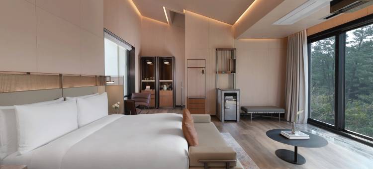 琥珀璞山度假村济州(Amber Pure Hill Hotels & Resorts Jeju)图片