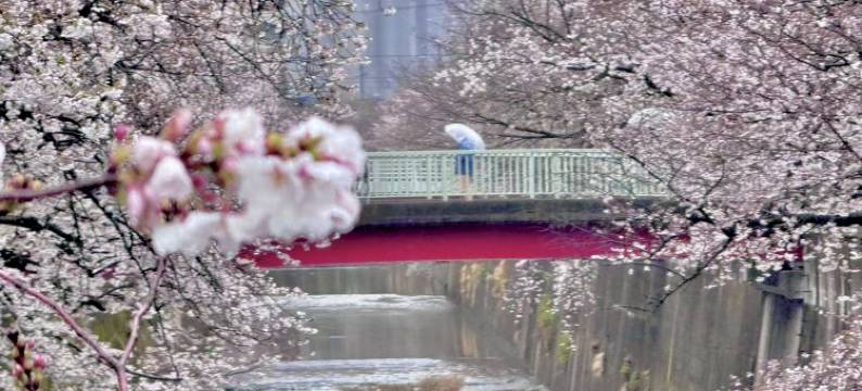 旅家酒店(Hotel Tabiya)图片