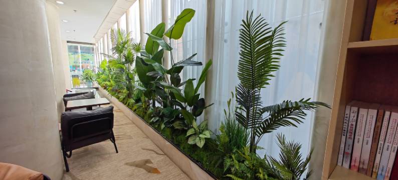 西宁交通花苑酒店(同仁路力盟步行街店)图片