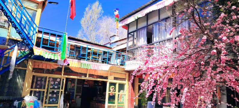 拉萨藏陶坊客栈(大昭寺八廓街店)图片