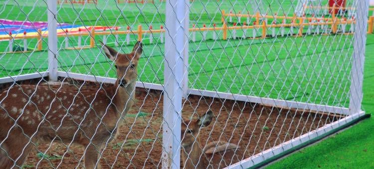 维也纳国际酒店(郑州华南城地铁站奥特莱斯店)图片