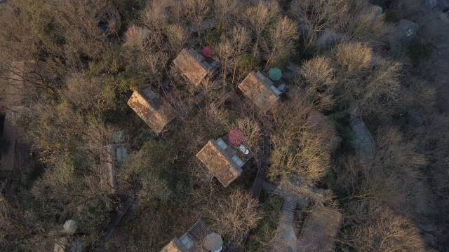 凤凰台树屋民宿