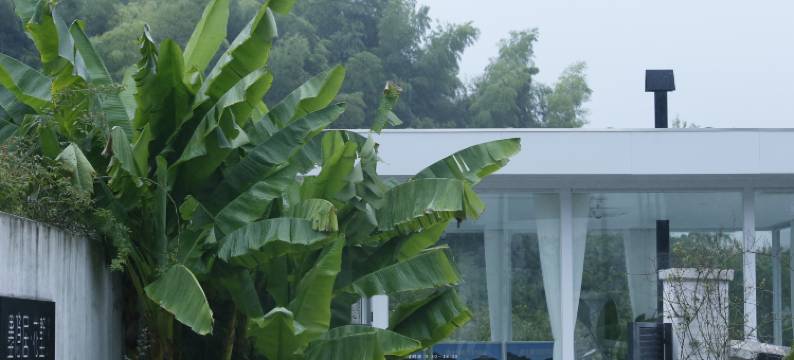 绍兴墨隐居·花墅图片