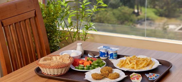 罗塞塔金字塔酒店(Rosetta pyramids inn)图片