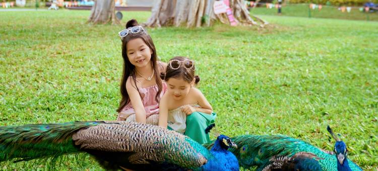 西双版纳洲际度假酒店图片