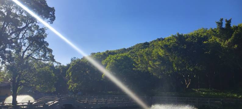 普陀山境约里民宿图片