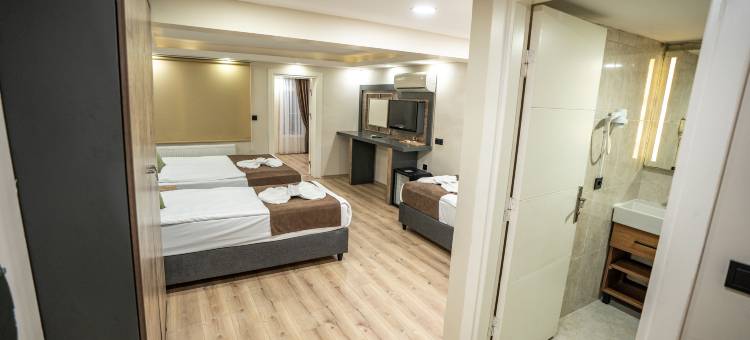米拉套房塔克西姆(MİLA SUİTES TAKSİM HOTEL)图片