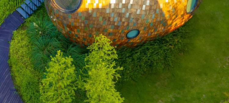 太仓七十二家村树蛙部落图片