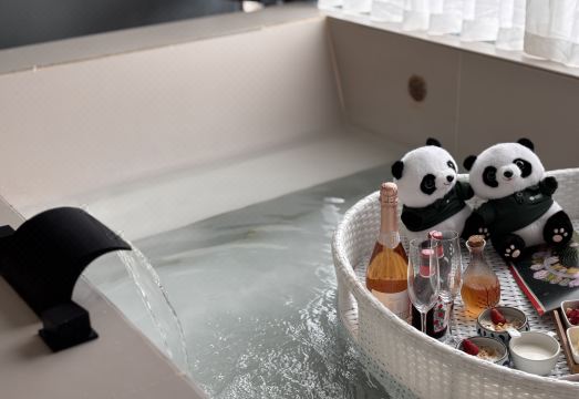 Qingcheng Mountain Wuyou Yuanzi Hot Spring Hotel (Qingcheng Mountain High speed Railway Station) Hotel Overview