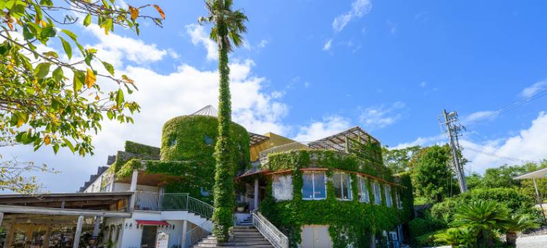 莫阿纳海岸度假村酒店(Resort Hotel Moana Coast)图片