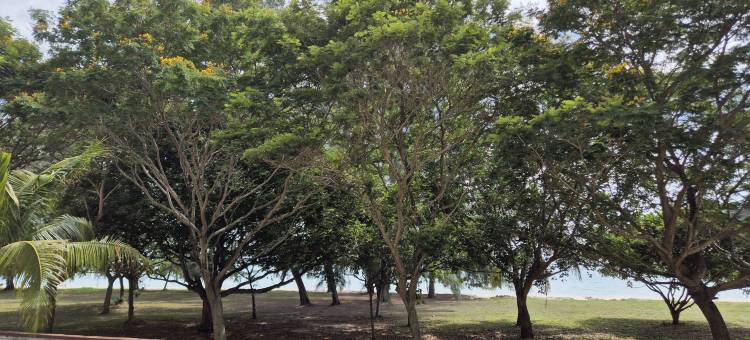 18pax GFloor 4R4B Dual-Key DOORSTEP PRIVATE BEACH, WATERSPORT, POOL, BBQ SET, WIFI图片