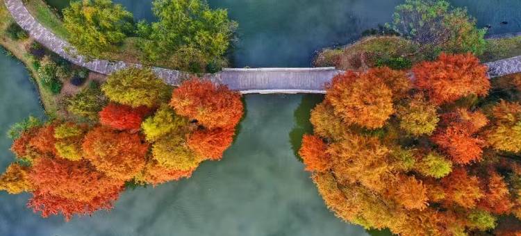 无锡瑞廷西郊酒店图片