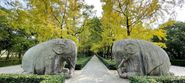 南京维景国际酒店图片