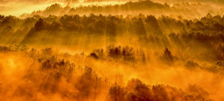 池州平天半岛大酒店图片