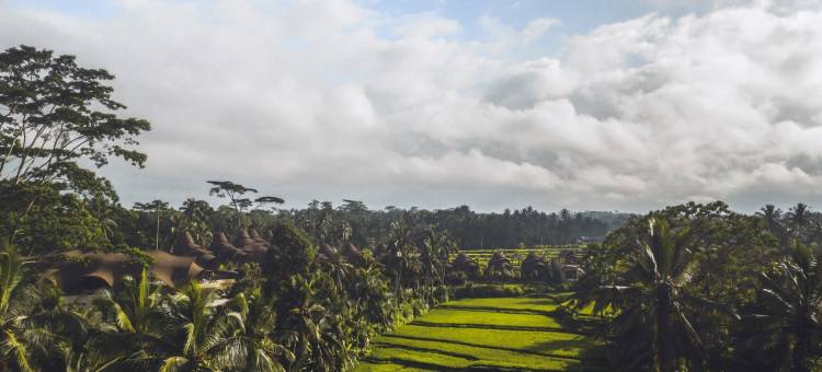 Ini Vie Hospitality管理的乌布Equipoise度假村及水疗中心(Equipoise Resort & Spa Ubud Managed by Ini VIE Hospitality)图片