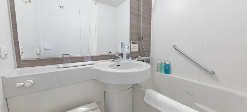 相铁FRESA INN 北滨(Sotetsu Fresa Inn Kitahama)图片