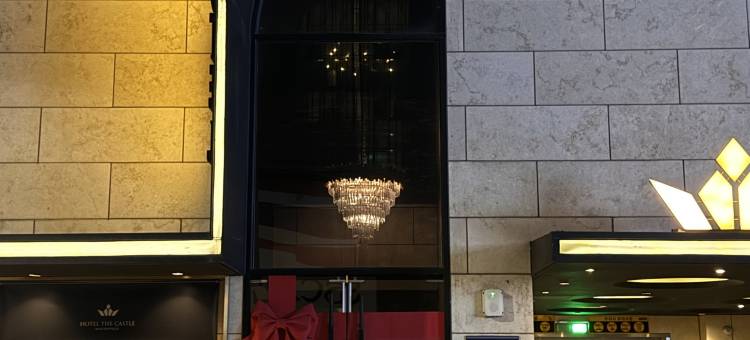 新村城堡酒店(Hotel the Castle Sincheon)图片