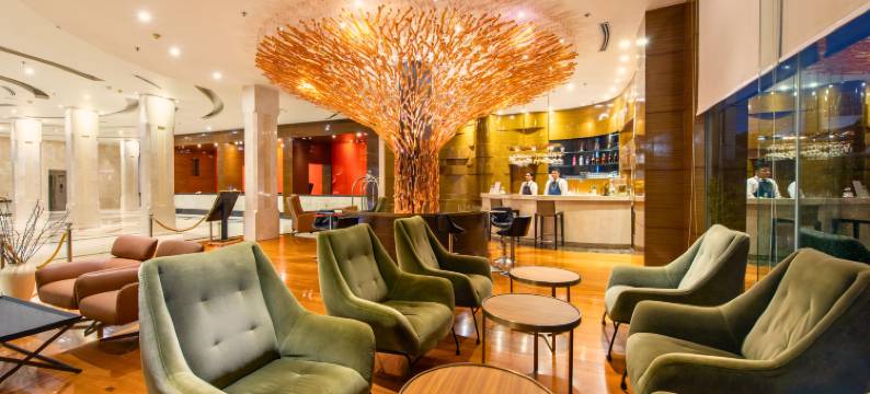 枫叶酒店(Maple Hotel)图片