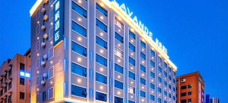 麗枫酒店(东莞大朗松山湖北站店)图片