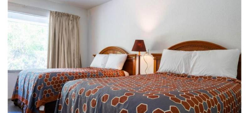 奥优酒店 奥卡拉，佛罗里达州 I-75(OYO Hotel Ocala, FL I-75)图片