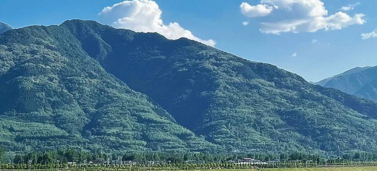 葡萄居民宿图片