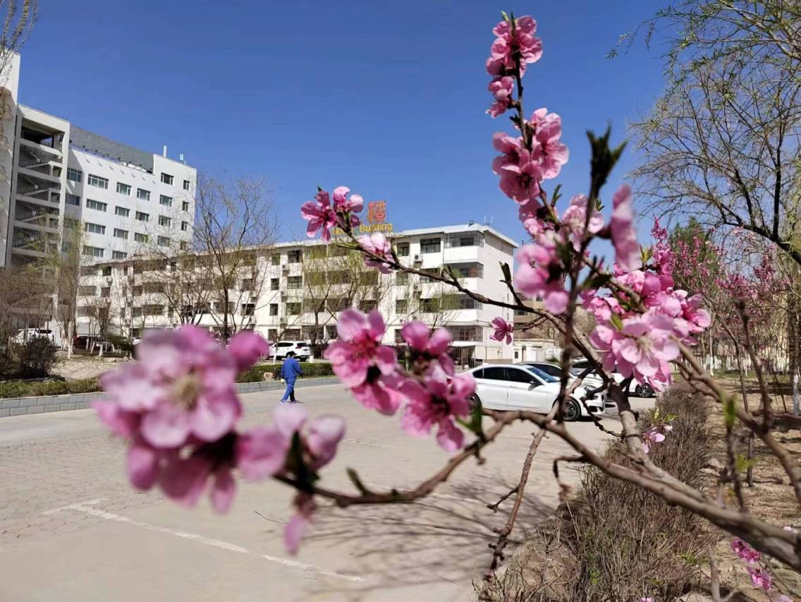 酒钢宾馆(嘉峪关富强市场东方百盛店)图片