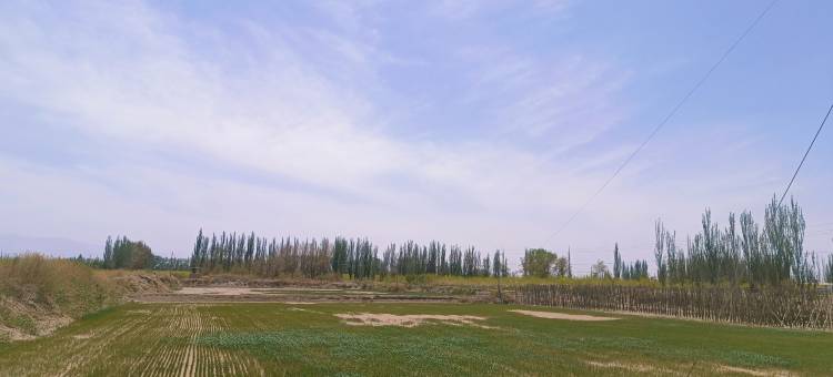 若羌羌河客栈图片