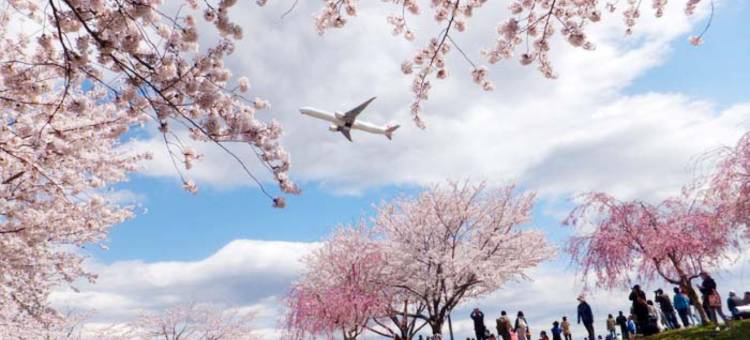 东横INN成田机场本馆(Toyoko Inn Narita Airport Honkan)图片
