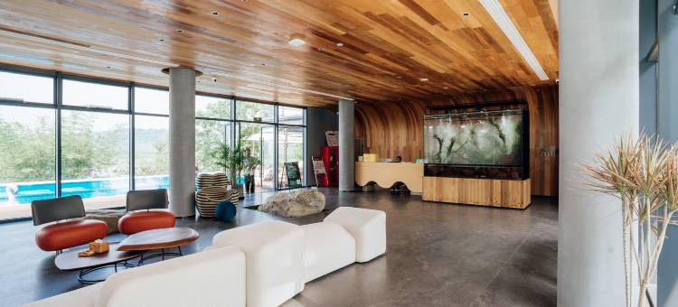 树蛙部落(泸州店)图片