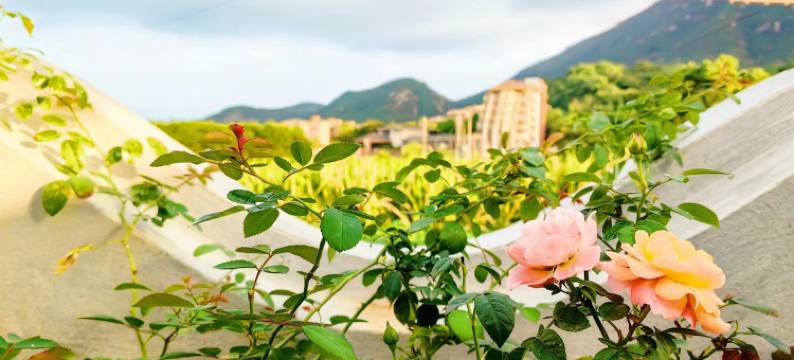 拾涧海民宿图片