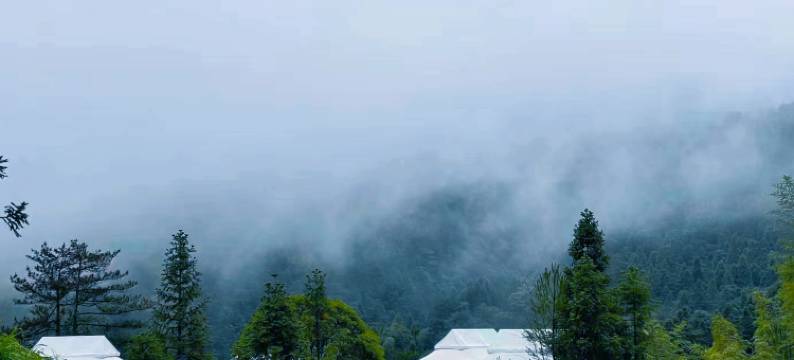 五盖山国际森林康养度假区图片