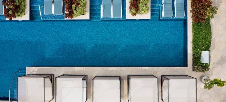 加泰罗尼亚皇家拉罗马纳酒店-限成人-全包(Catalonia Royal la Romana Adults Only - All Inclusive)图片