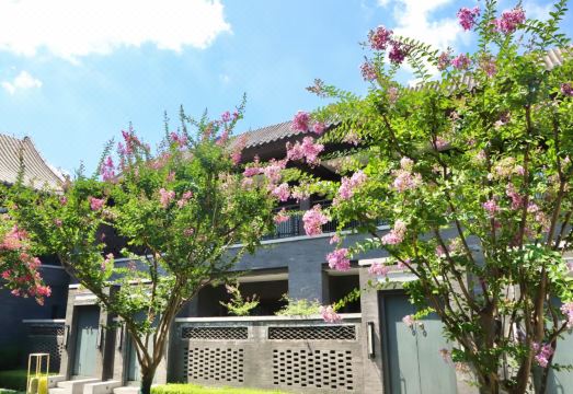 JW Marriott Hotel QufuHotel Overview