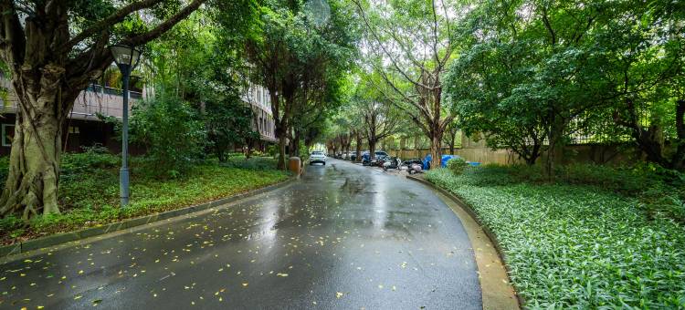 文昌美龄湾海景住宿(高隆湾店)图片