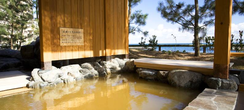 新淡路酒店-洲本温泉(Hotel New Awaji)图片