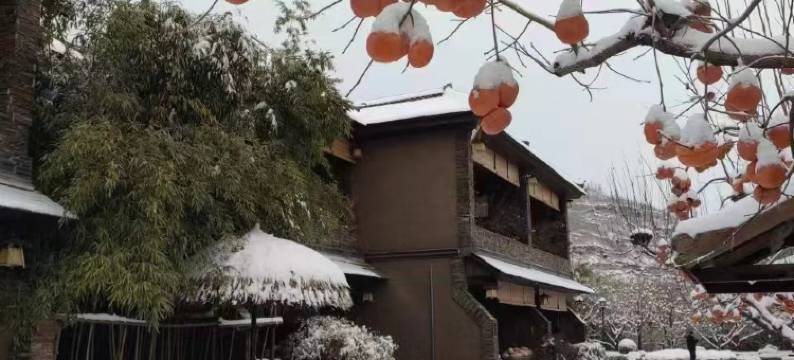 四季竹林书院图片