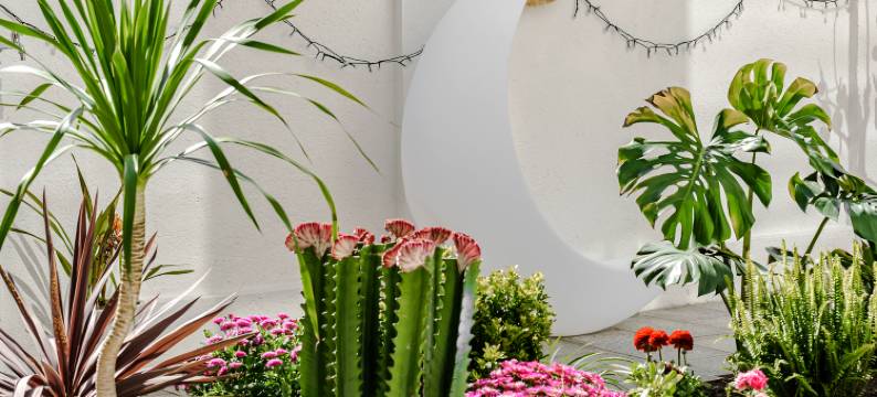 馨家遥山民宿(大理才村码头店)图片