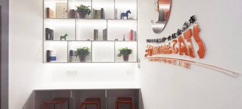 三只猫青年旅舍(世纪金源店)图片