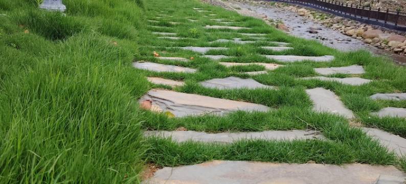 溪林客栈(东林寺店)图片