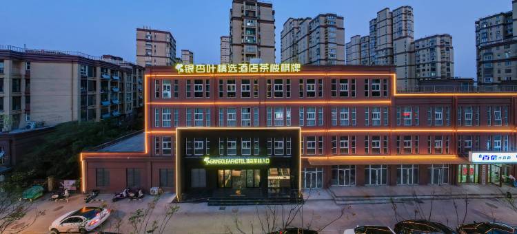 六安银杏叶精选酒店(万达广场店)图片