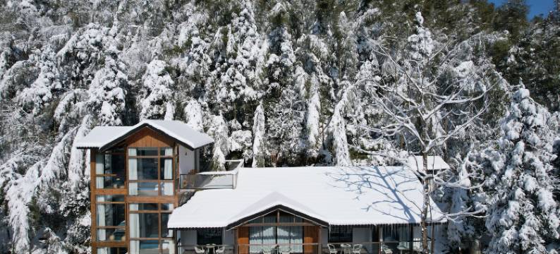 梅岭楠坪古村·青语民宿图片